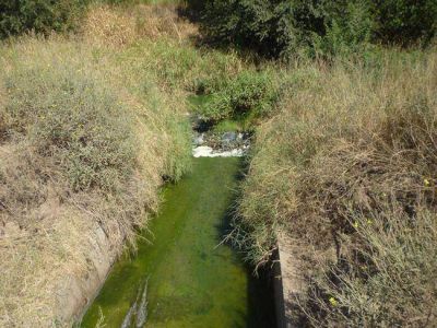 Alihu�n denuncia falta de limpieza de canal de aguas pluviales y servidas