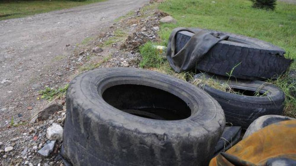 Ya son seis los casos de dengue en C�rdoba