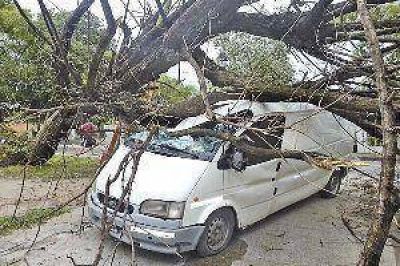 Fuerte temporal dej� cuantiosos da�os en Capital, Banda y Robles