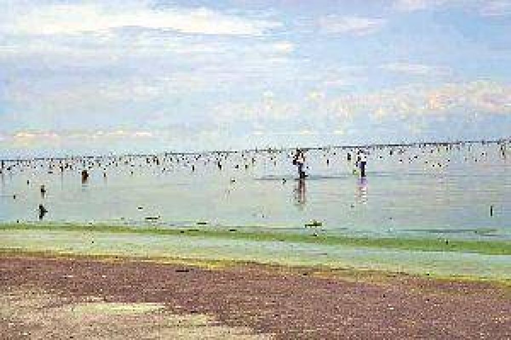 Experto afirma que la contaminaci�n de las industrias tucumanas gener� las algas t�xicas