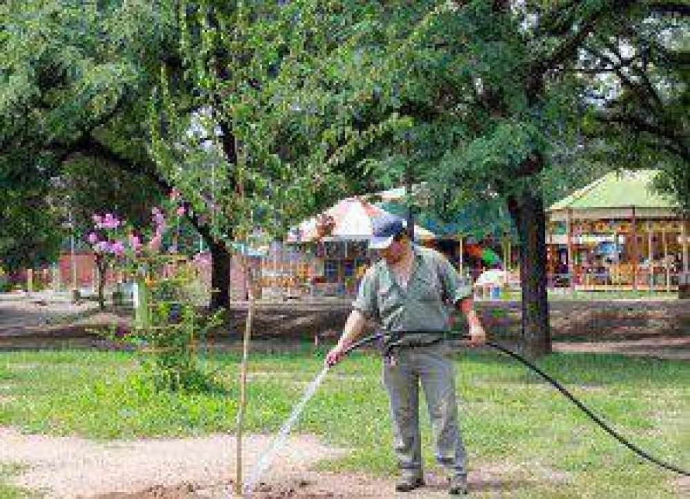 En el Parque San Mart�n se realizaron trabajos de enripiado, limpieza de la fuente y arborizaci�n 