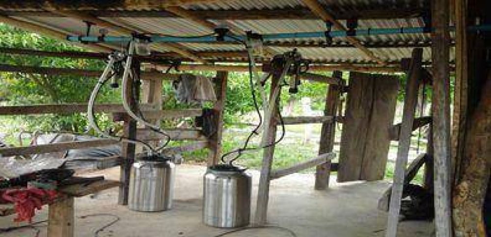 Creciente incorporaci�n del orde�e mec�nico en los peque�os y medianos productores lecheros