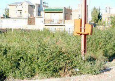 Afirman que es muy riesgoso que la gente compre armas por los robos