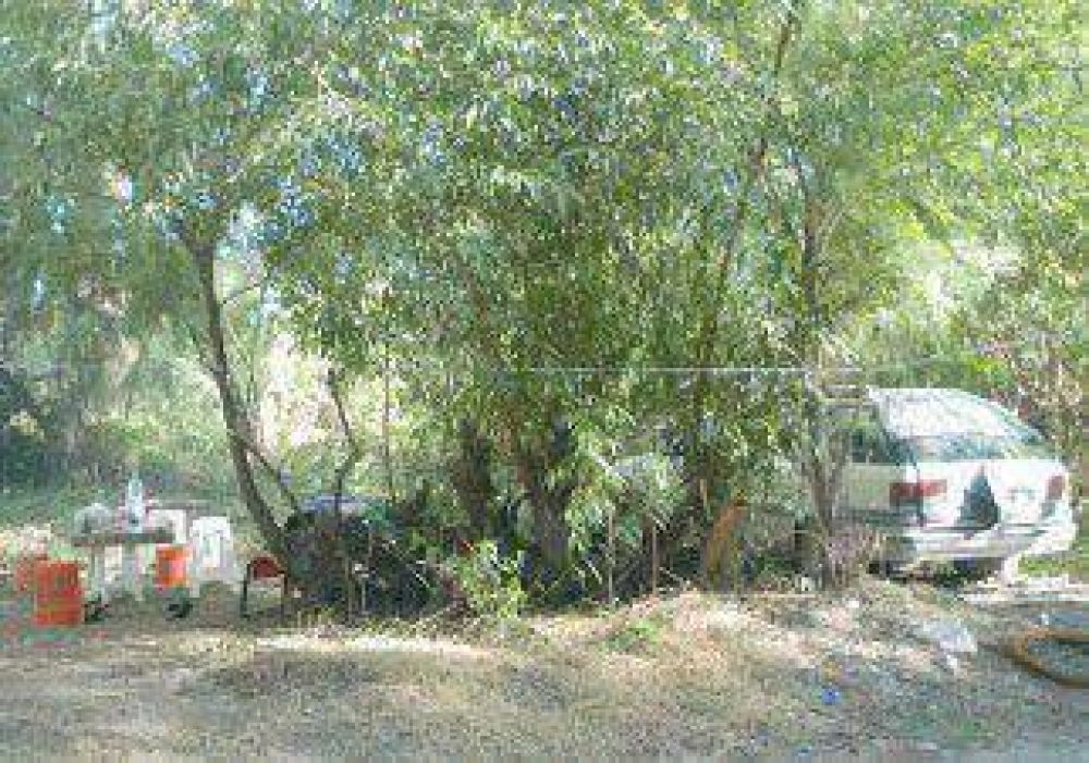 Otra usurpaci�n de un predio en la ciudad