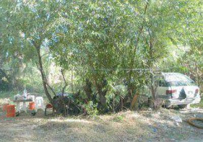 Otra usurpaci�n de un predio en la ciudad