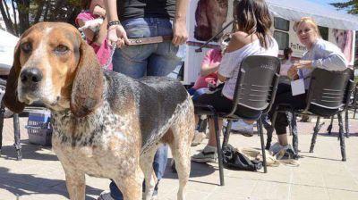 M�s de 120 personas llevaron sus mascotas al tr�iler de esterilizaci�n