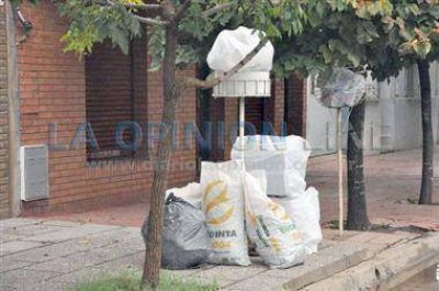 Recolecci�n especial a�n en las calles
