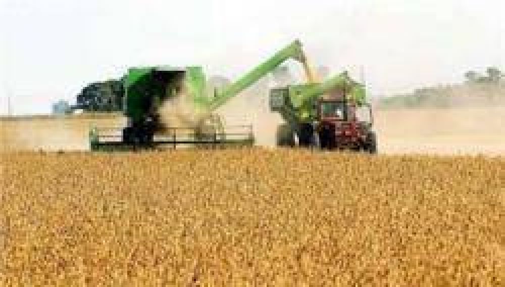 �Guardar los granos en el campo es una herramienta financiera�