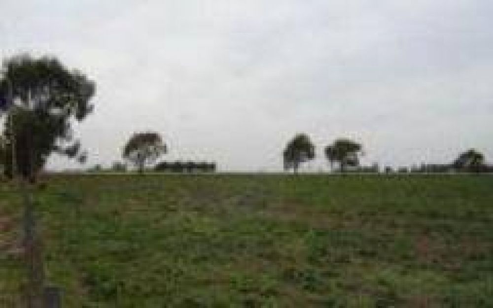 �El campo es la vaca lechera que van a agotar�