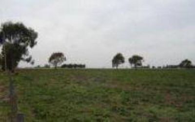 �El campo es la vaca lechera que van a agotar�