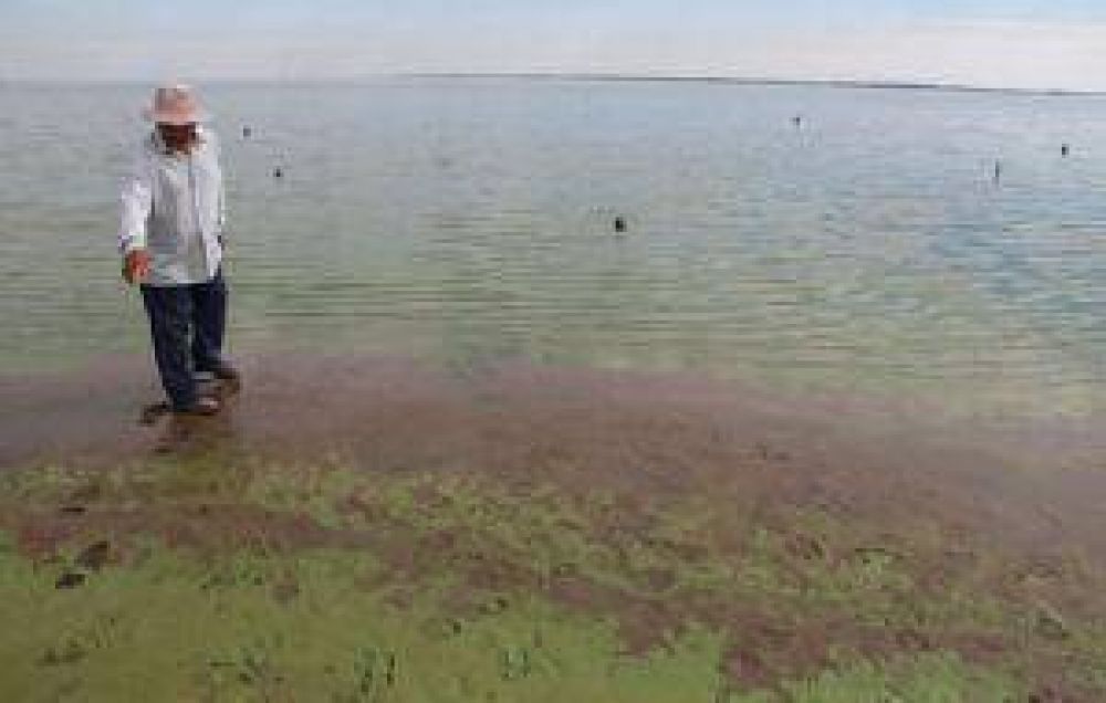 Tucum�n niega relaci�n con posible vuelco t�xico
