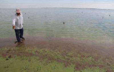 Tucum�n niega relaci�n con posible vuelco t�xico