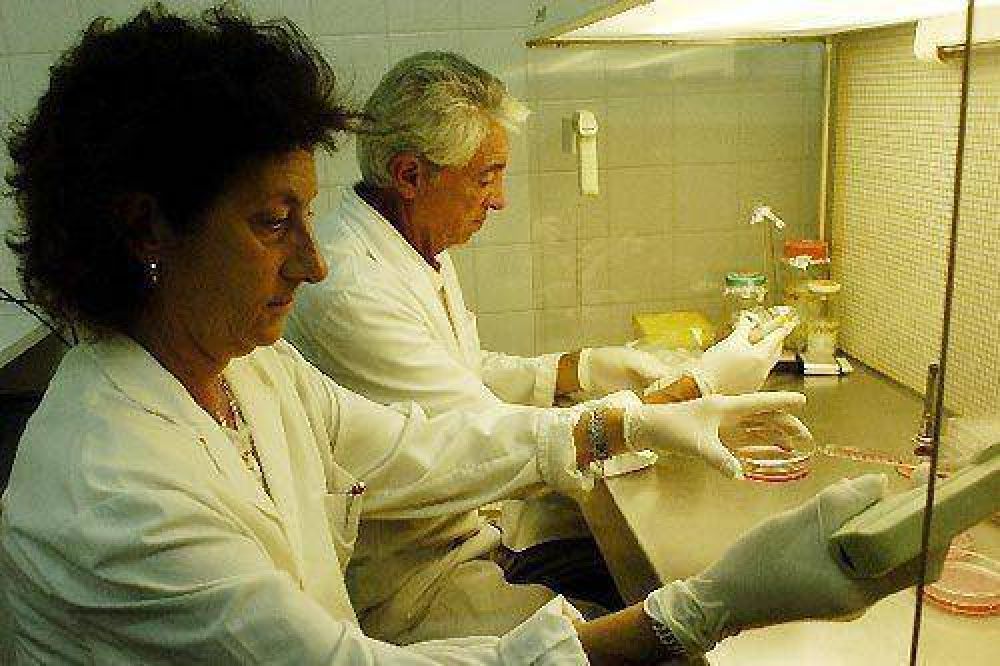 Lanzan la semana de la colecta de sangre en el Cepsi