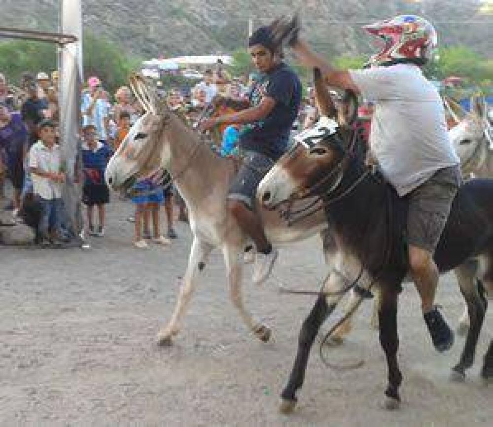 Safari tras Las Sierras: No son ningunos burros	