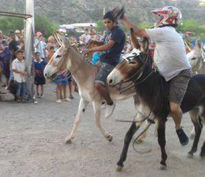 Safari tras Las Sierras: No son ningunos burros	