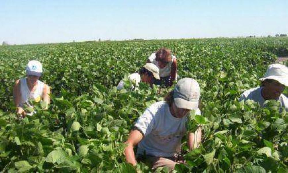 Piden un aumento del 34% para el precio del tabaco