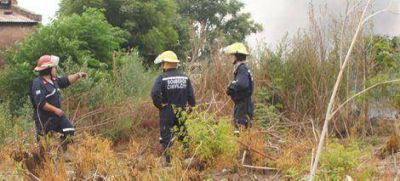 Combaten durante varias horas un incendio forestal de grandes proporciones 