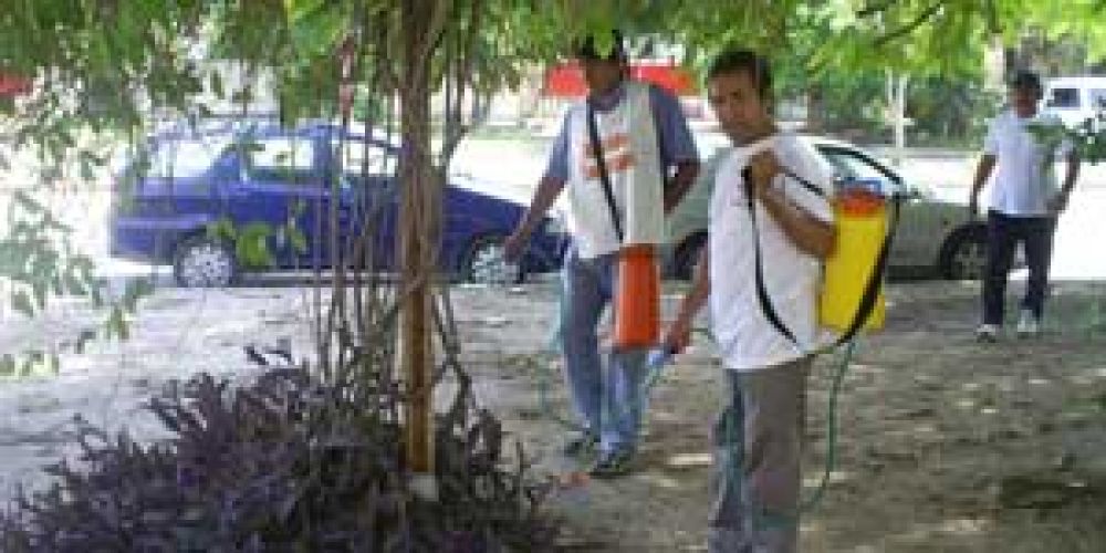 Dengue: Confirman casos en Formosa