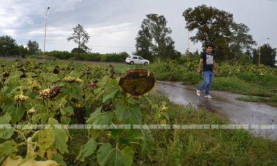 La lluvia no fue suficiente para paliar la crisis h�drica en el interior del Chaco