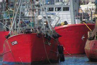Algunos gremios pesqueros denuncian un paro patronal