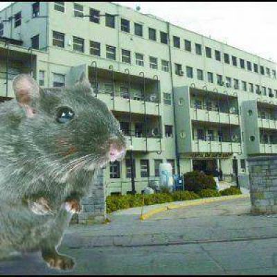 Negocios oscuros y descalabro sanitario en los hospitales bonaerenses