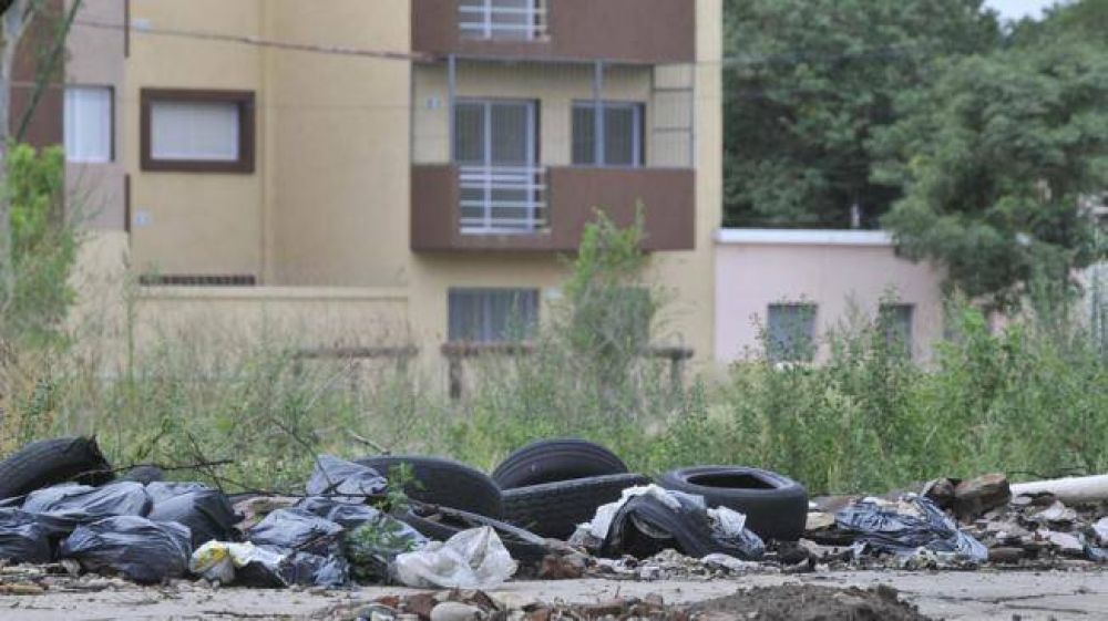 Dengue: admiten que hay un brote y alistan el sistema de salud