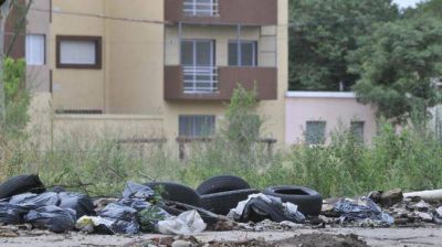 Dengue: admiten que hay un brote y alistan el sistema de salud