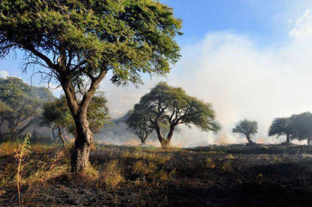 Fuego en la Reserva Los Caldenes