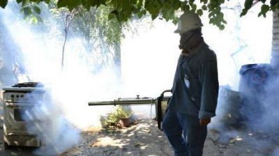 10 casos de dengue confirmados