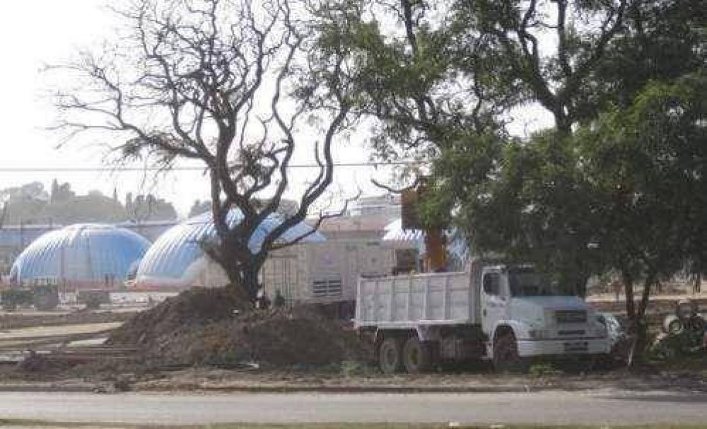 Pol�mica por tala de �rboles para instalar Tecn�polis