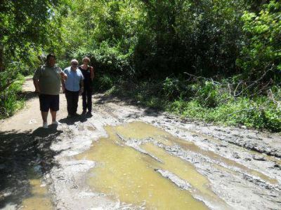 �El Municipio no est� presente en la Isla Paulino�