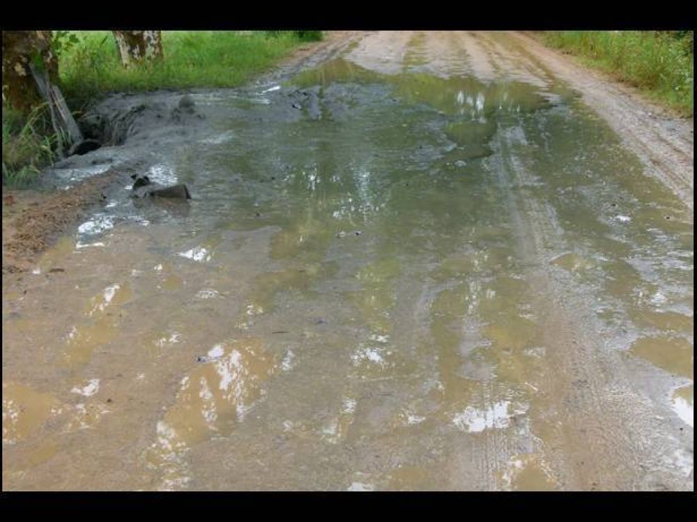 En Col�n arrojaron combustible en la v�a p�blica y en un arroyo