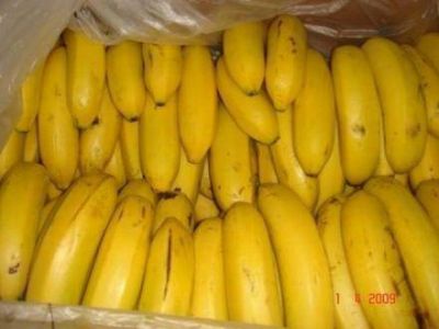 En 60 d�as se instalara una planta de empaques de banana en Tacaagle 