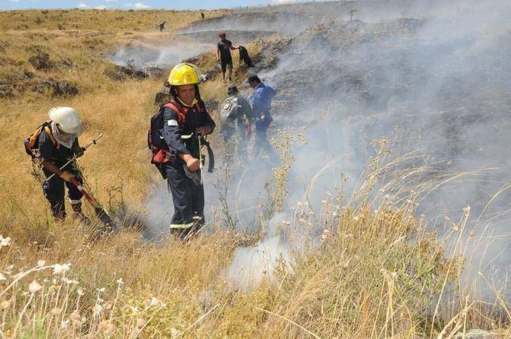 Unas 250 hect�reas fueron arrasadas por un incendio