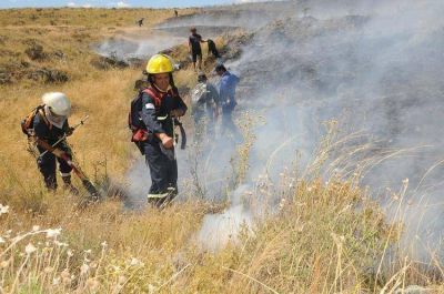 Unas 250 hect�reas fueron arrasadas por un incendio