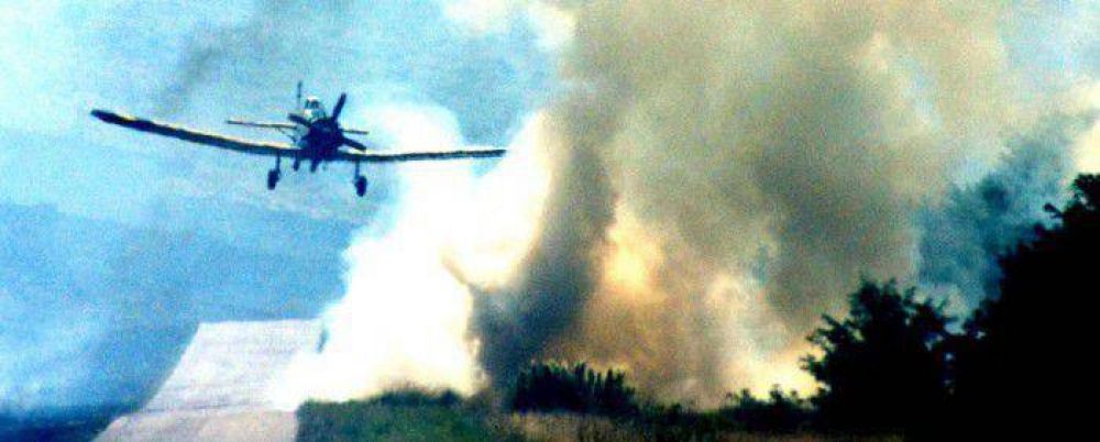 Bomberos de la regi�n combatieron incendio en sector serrano