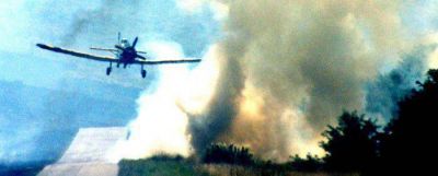 Bomberos de la regi�n combatieron incendio en sector serrano