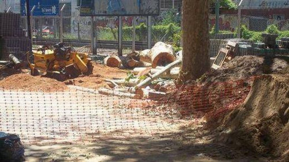 Oposici�n del FAP a la tala de �rboles en el bajo de Vicente L�pez