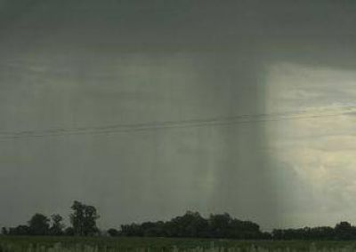 Llueve en Areco; renace la esperanza.	