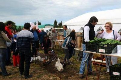 Productores frutihort�colas esperan materializar este a�o predio ferial propio