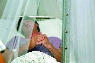 Fue dado de alta el trabajador rural internado con s�ntomas de dengue