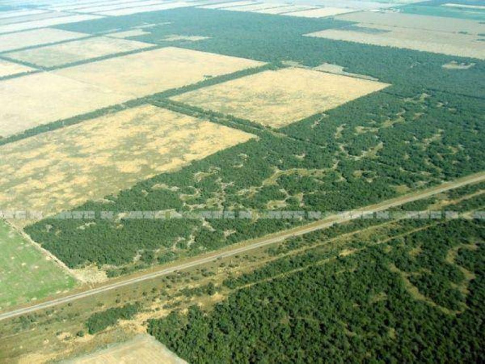 Chaco enfrenta el desafo del uso y de la preservacin de los recursos naturales