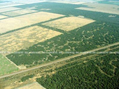 Chaco enfrenta el desaf�o del uso y de la preservaci�n de los recursos naturales