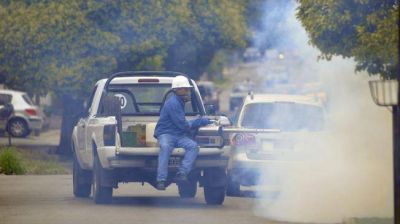 Dengue: hoy arranca la fumigaci�n en los barrios de la Capital