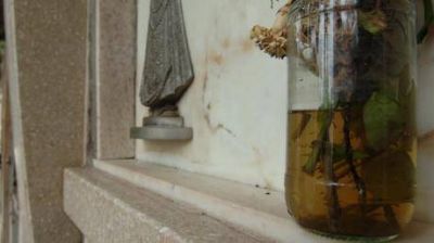Puerta de entrada del dengue, abierta