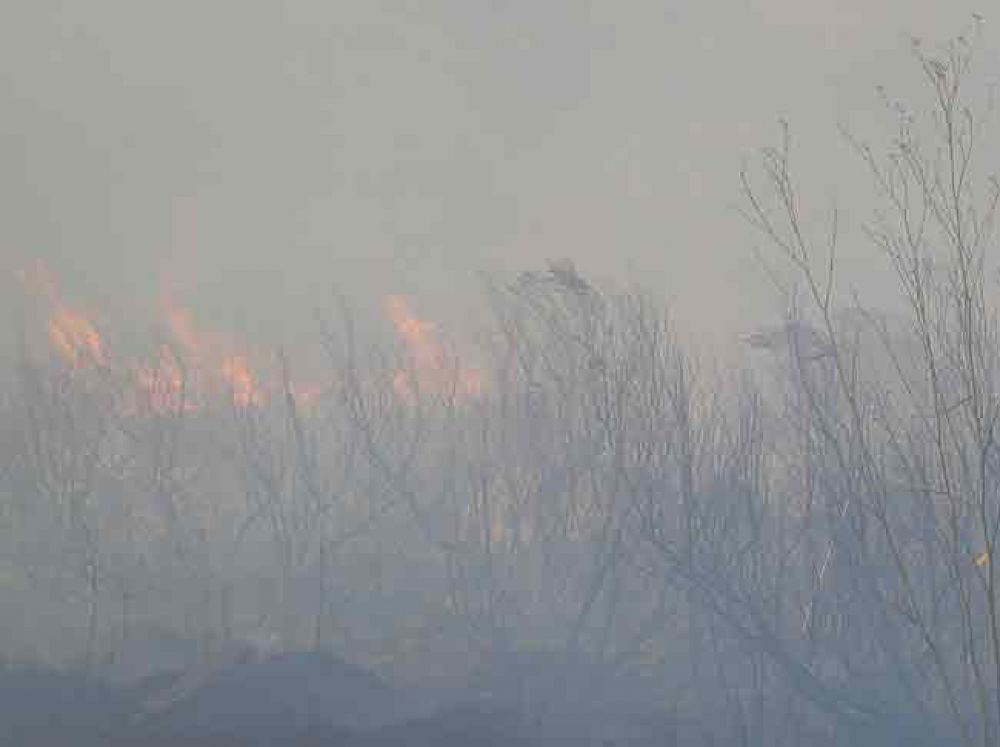 Importante incendio afecta varias hect�reas de sierras en Las �nimas