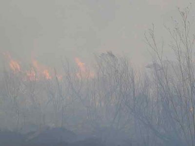 Importante incendio afecta varias hect�reas de sierras en Las �nimas