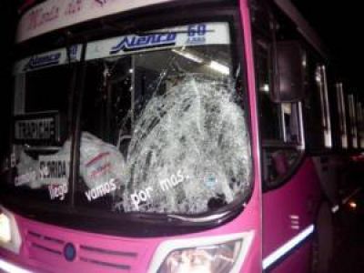 El Trapiche: un colectivo choc� contra a un caballo