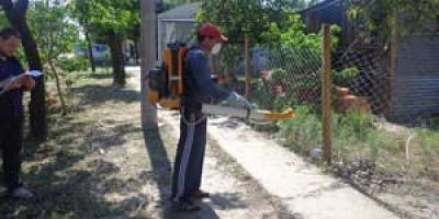 Dengue: Sigue hoy la campa�a de prevenci�n
