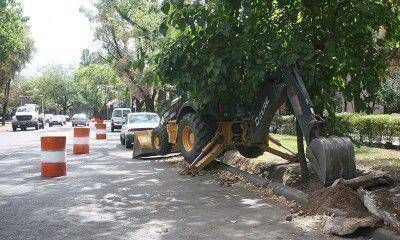 Repavimentaci�n de Boulogne Sur Mer: prometen "no estorbar" el tr�nsito en Vendimia